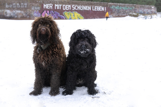 Strand mit Schneehauch.