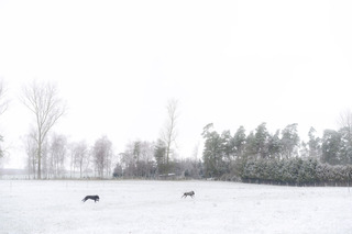Schnee ist klasse.