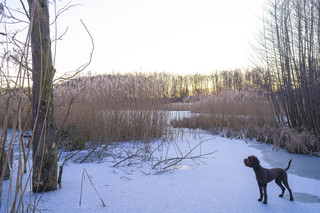 Winterkälte